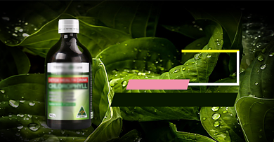 大自然绿色健康保健品海报背景