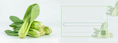 油菜青菜蔬菜生鲜电商全屏海报背景