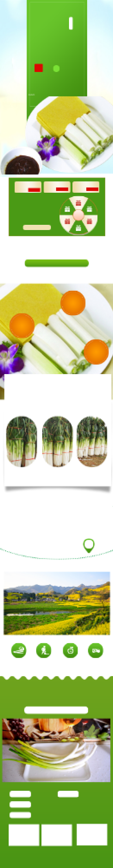 大葱蔬菜食品茶饮详情页背景