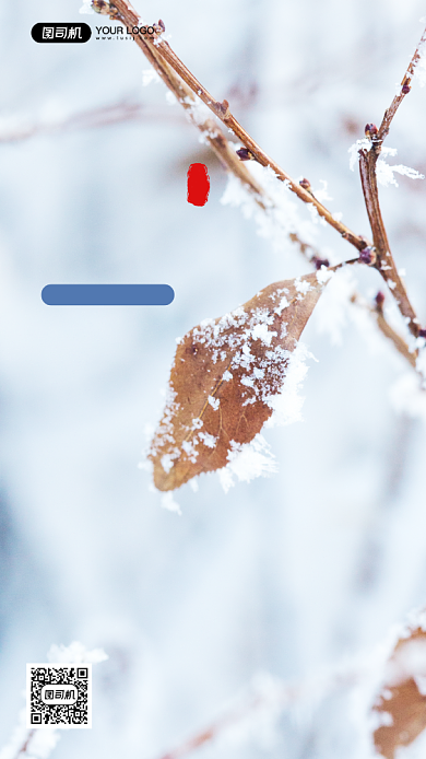 大雪二十四节气写实手机海报背景