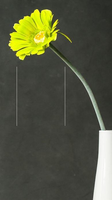 早安你好小清新文章配图背景