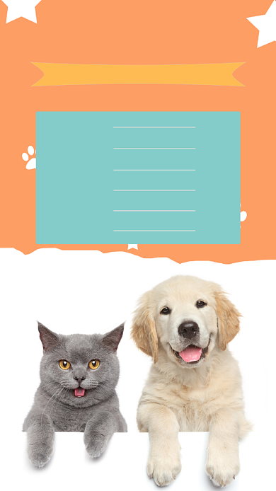 宠物店价格表手机海报背景