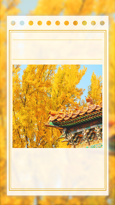 银杏树故宫摄影日签清新简约手机海报背景