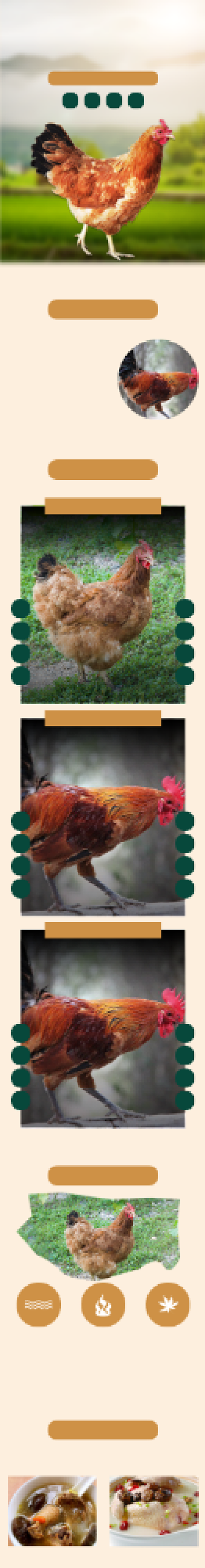 土鸡走地鸡农村散养详情页背景