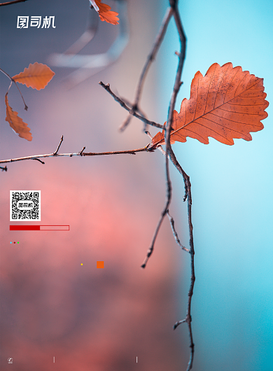 简约二十四节气立秋创意海报背景