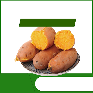 食品红薯马铃薯地瓜主图背景