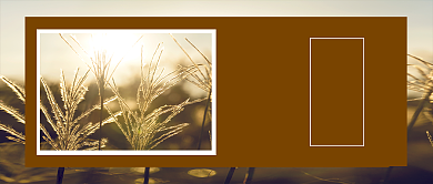 立秋节气简约摄影图公众号首图背景