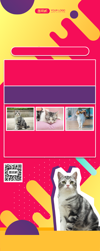 宠物用品写实孟菲斯优惠活动易拉宝背景