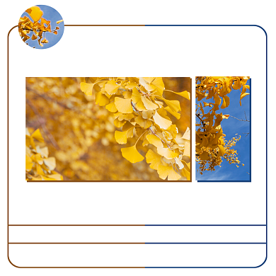 hellowinter方形配图背景