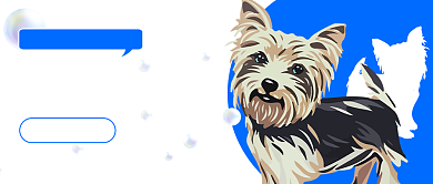 如何为狗狗洗澡宠物技能学习首图背景