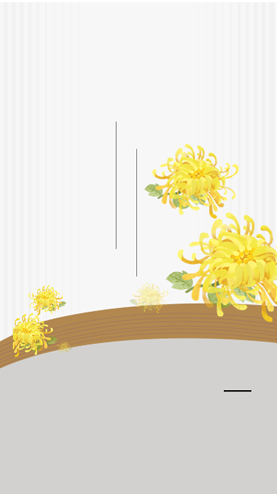 重阳节简约菊花文章配图背景