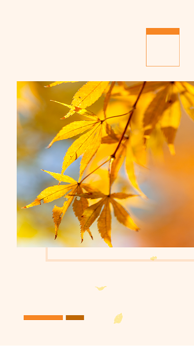 简约早安十月日签文章配图背景