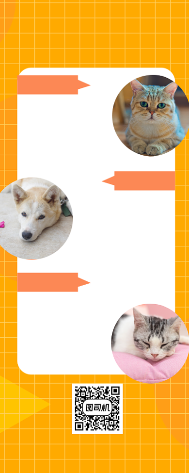 萌宠洗护简约风手机海报背景