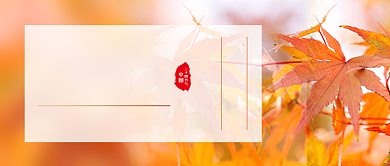 立秋节气枫叶摄影图公众号首图背景
