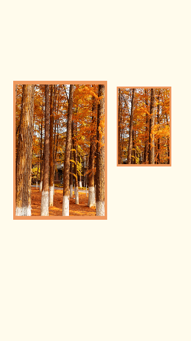 简约秋季旅游宣传文章配图背景