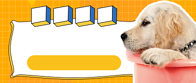 宠物狗狗卡通公众号首图背景