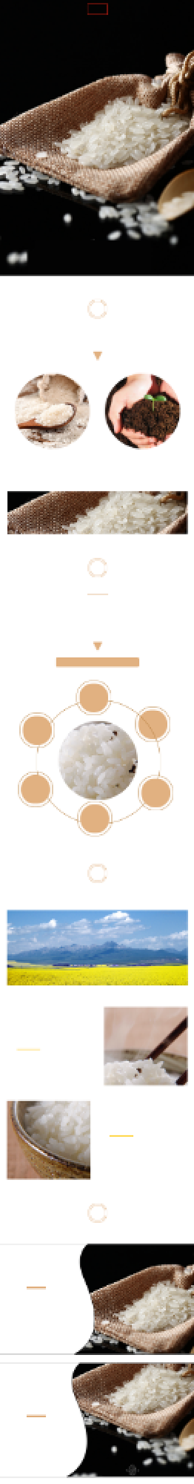 大米详情页电商时尚简约大气黑色五常背景