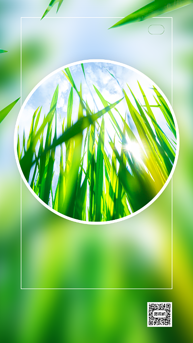 八月你好创意清新日签手机海报背景