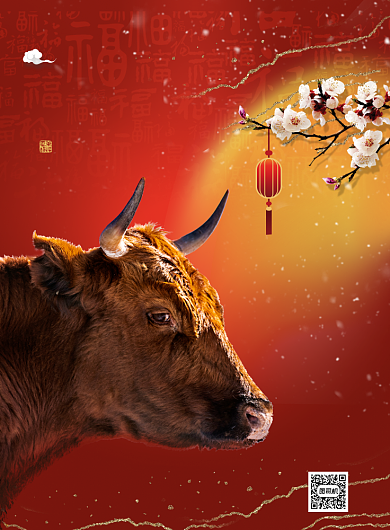 新年红色简约福牛迎春过年宣传海报背景