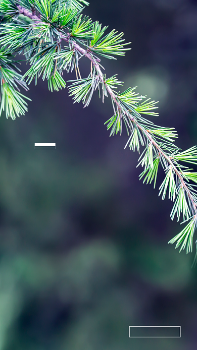 创意简约团队励志聊天背景图背景