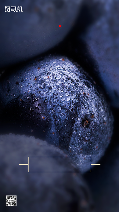 霜降节气摄影图水珠清新简约手机海报背景