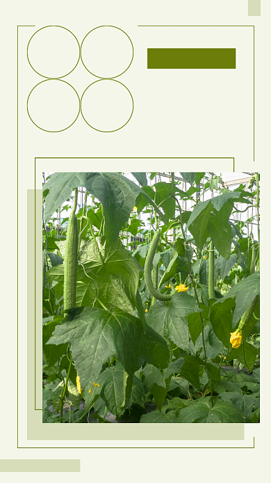 绿色简约早安你好文章配图背景