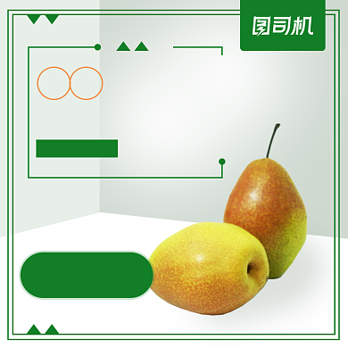 香梨水果淘宝直通车模板背景