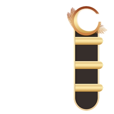 双十一直播间活动促销悬浮窗电商节日优惠券背景