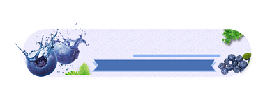 进口新鲜蓝莓简约胶囊banner背景