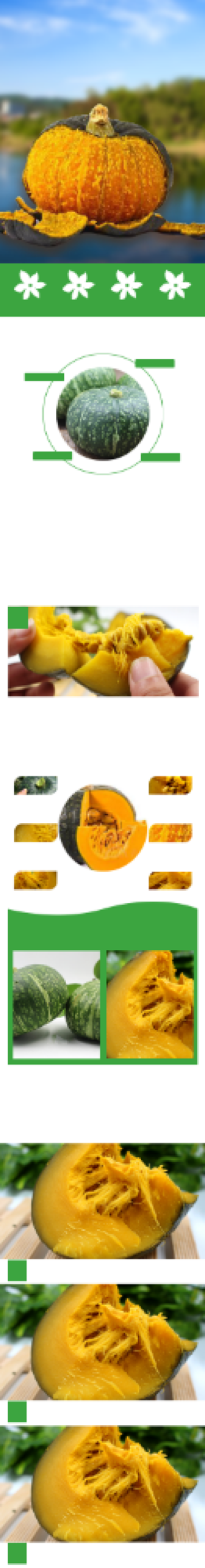 贝贝南瓜详情页电商时尚简约绿色香甜背景