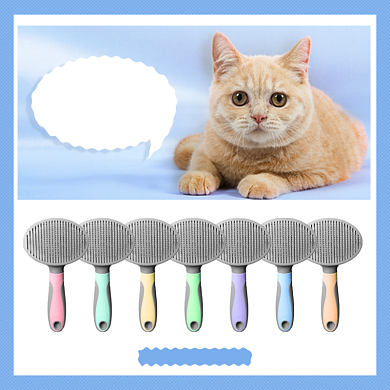 猫咪梳毛手套工具宠物去浮毛刷多色主图背景