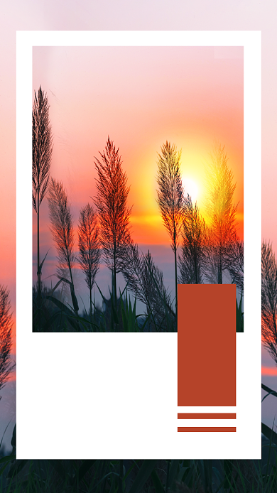 简约实景晚安好梦文章配图背景