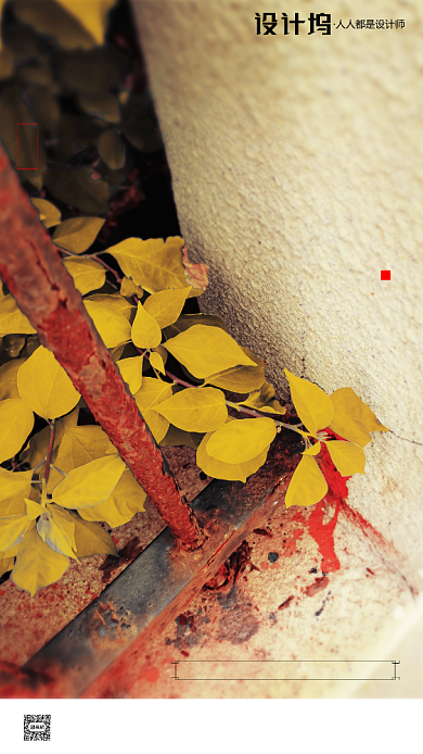 房地产传统节气立秋秋天手机海报背景