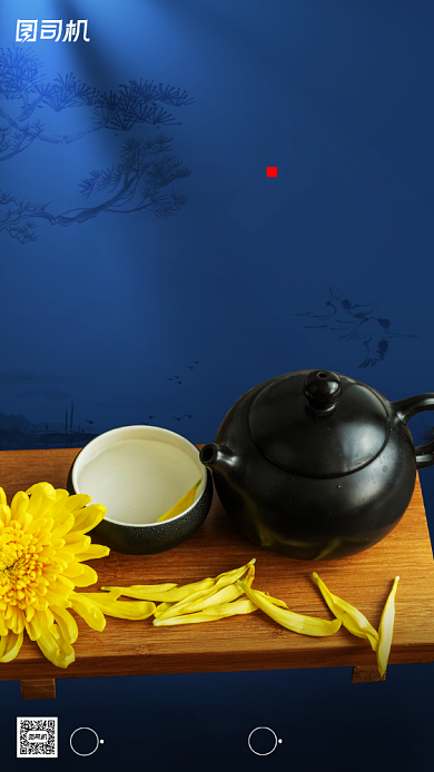 九月九重阳节摄影图菊花蓝色手机海报背景