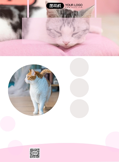 宠物店粉色简约摄影图宣传海报背景