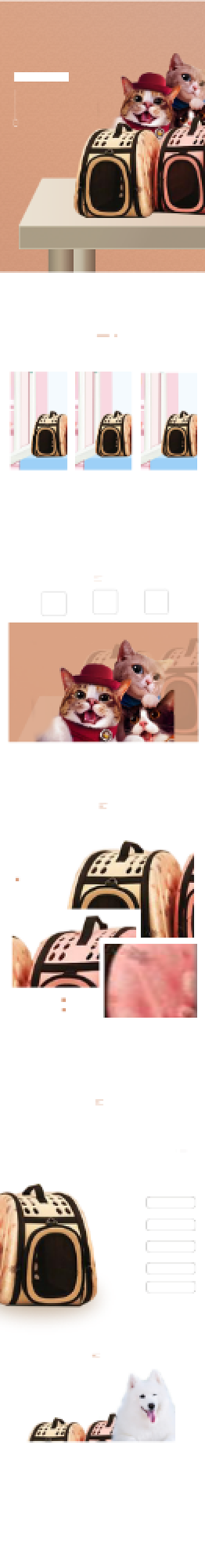 宠物包太空包宠物用品详情页背景