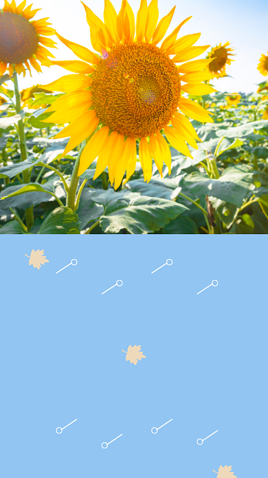 蓝色简约三月阳春莺飞草长文章配图背景