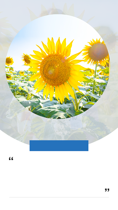 简约早安问候文章配图背景