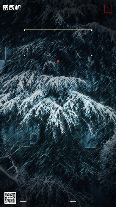 立冬节气摄影图柏树冰雪简约手机海报背景