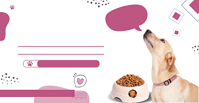 双十一萌宠购翻天狗粮猫粮宠物零食促销海报背景