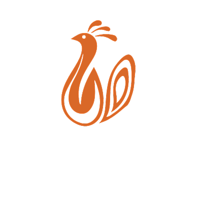 创意时尚孔雀标志背景