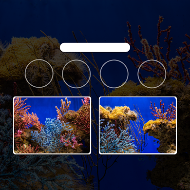 海景珊瑚造景淘宝主图直通车模板背景