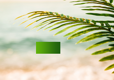 早安问候文艺清新文章配图背景