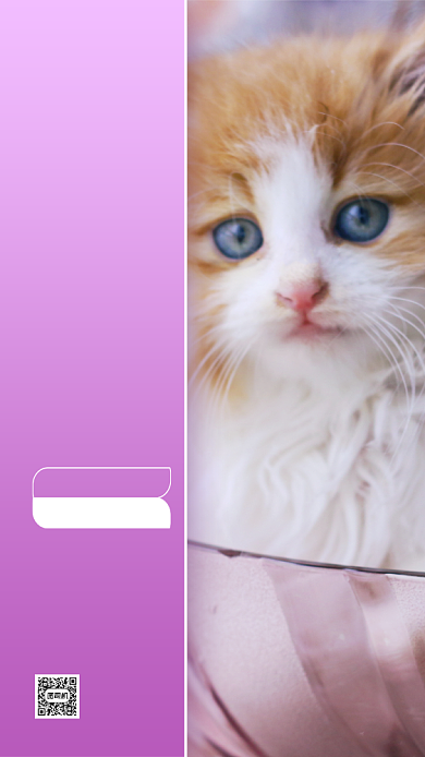 宠物店领养宣传摄影风手机海报背景