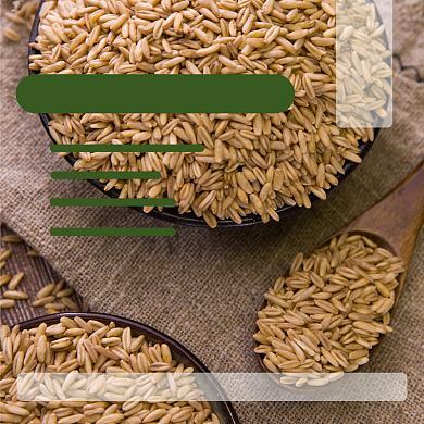 荞麦米食品淘宝主图直通车模板背景