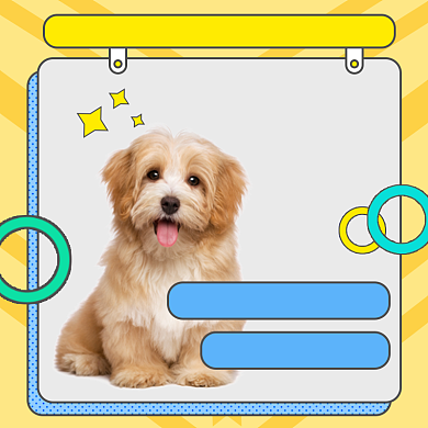 宠物专场直播领券促销手绘卡通主图背景