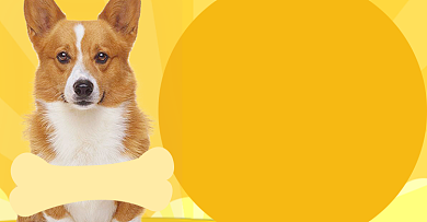 宠物狗粮满减促销海波卡通零食背景