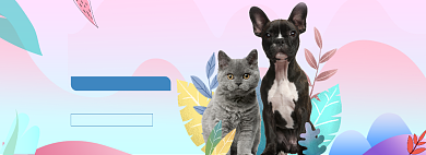 萌宠也疯狂创意宠物促销海报背景