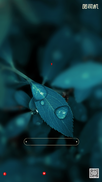 寒露节气摄影图清新简约手机海报背景