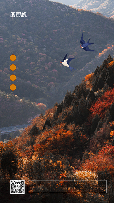 秋分节气简约手机海报背景